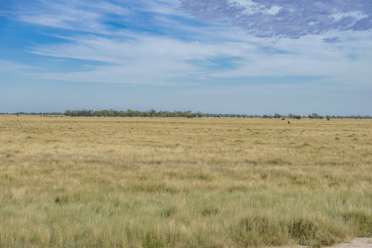 390 THARA Road, COONAMBLE, NSW 2829