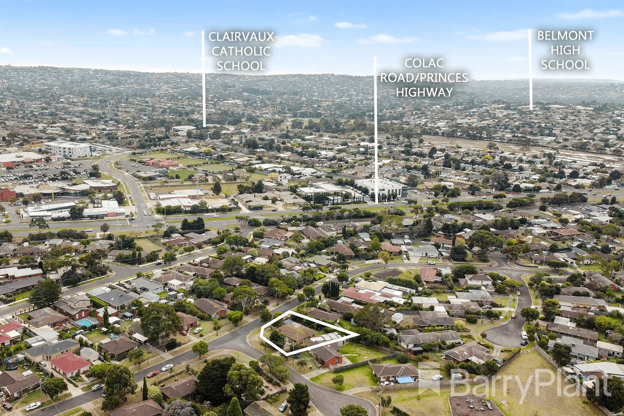 1 Palamino Court, Belmont, VIC 3216