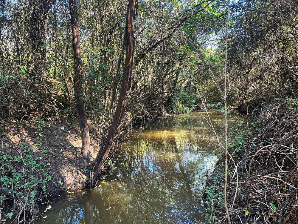 19 Narone Creek Road, Wollombi, NSW 2325