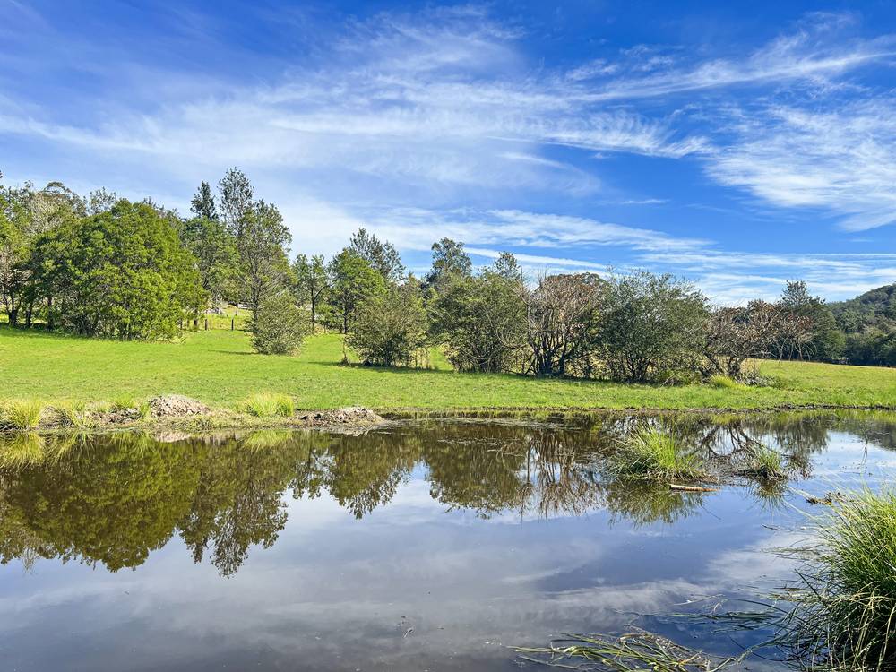 19 Narone Creek Road, Wollombi, NSW 2325