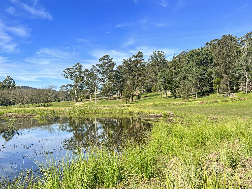 19 Narone Creek Road, Wollombi, NSW 2325