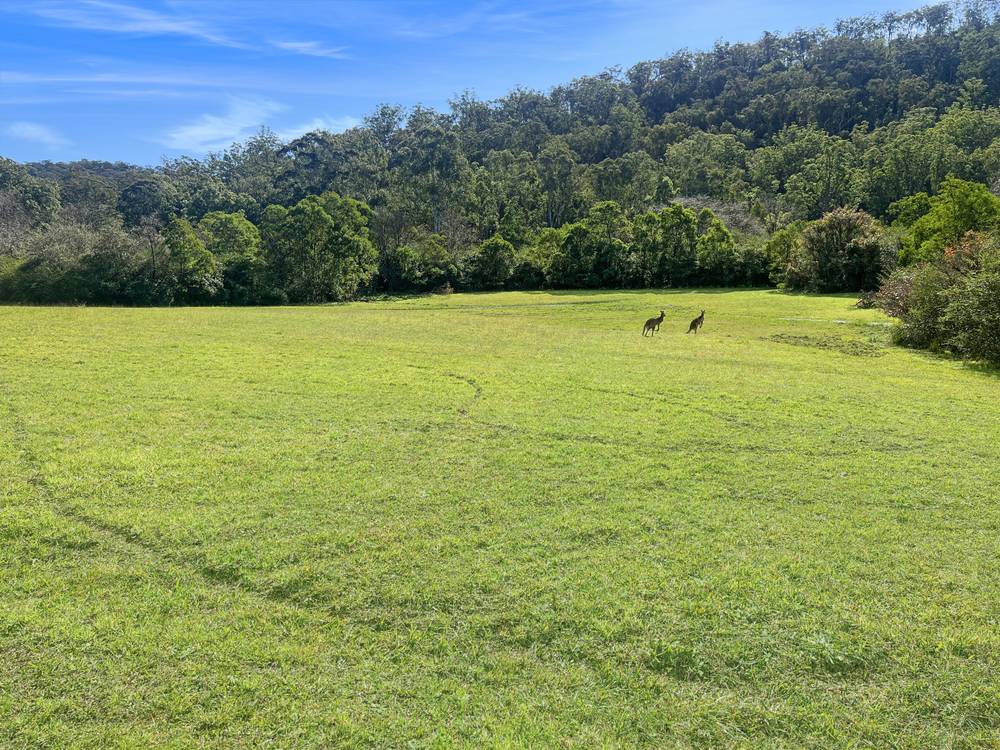 19 Narone Creek Road, Wollombi, NSW 2325