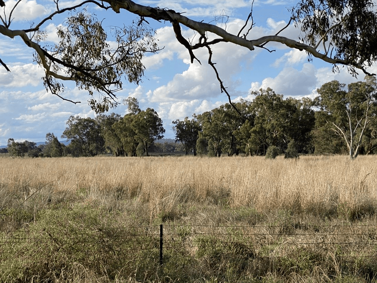 25 Kangarooby Road, Gooloogong, NSW 2805