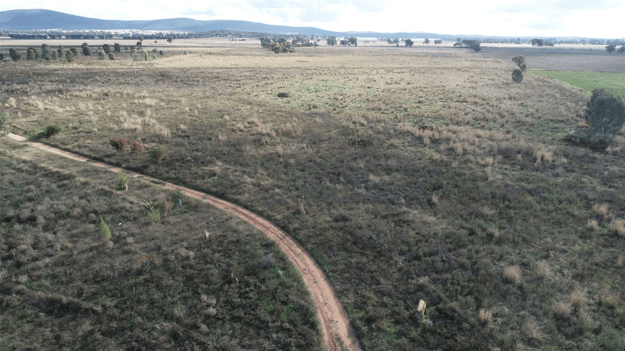 25 Kangarooby Road, Gooloogong, NSW 2805