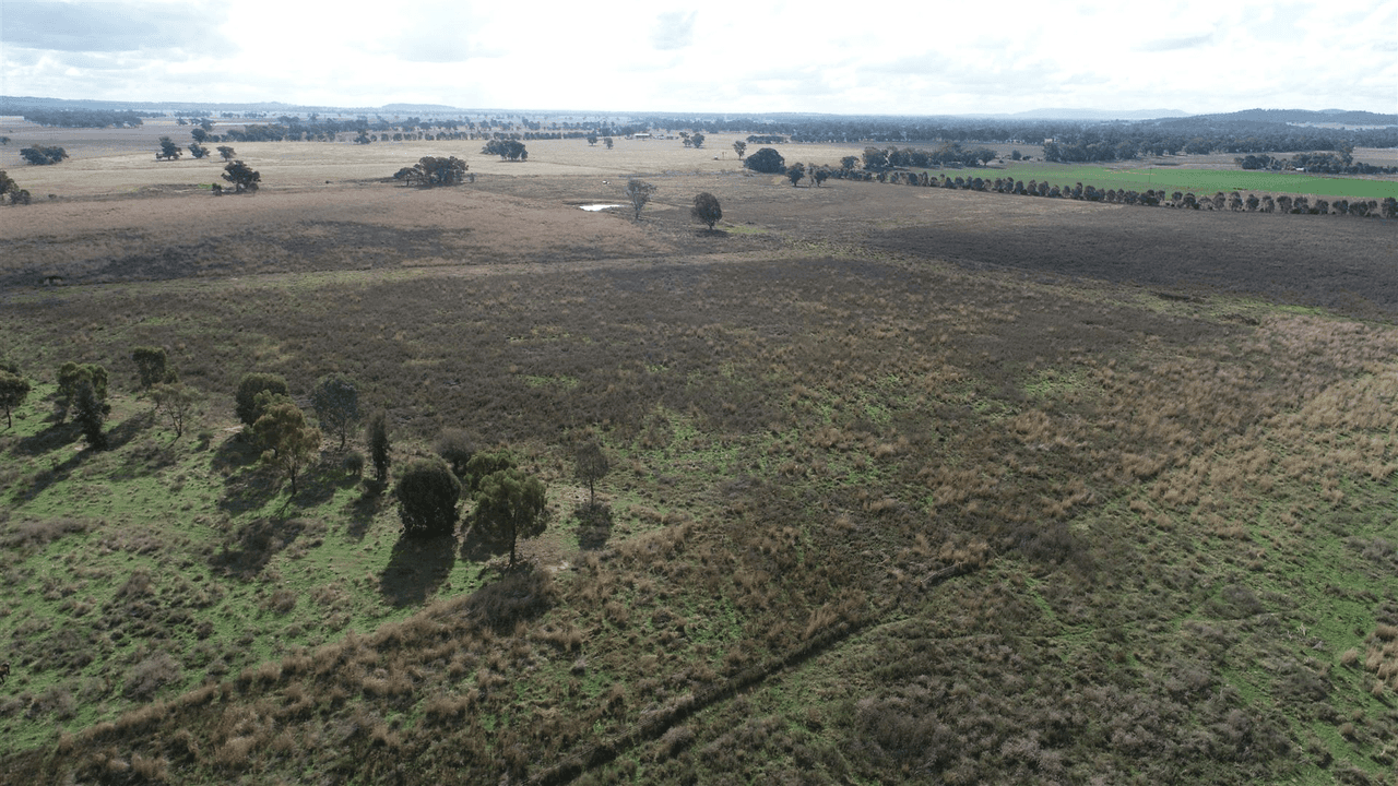 25 Kangarooby Road, Gooloogong, NSW 2805