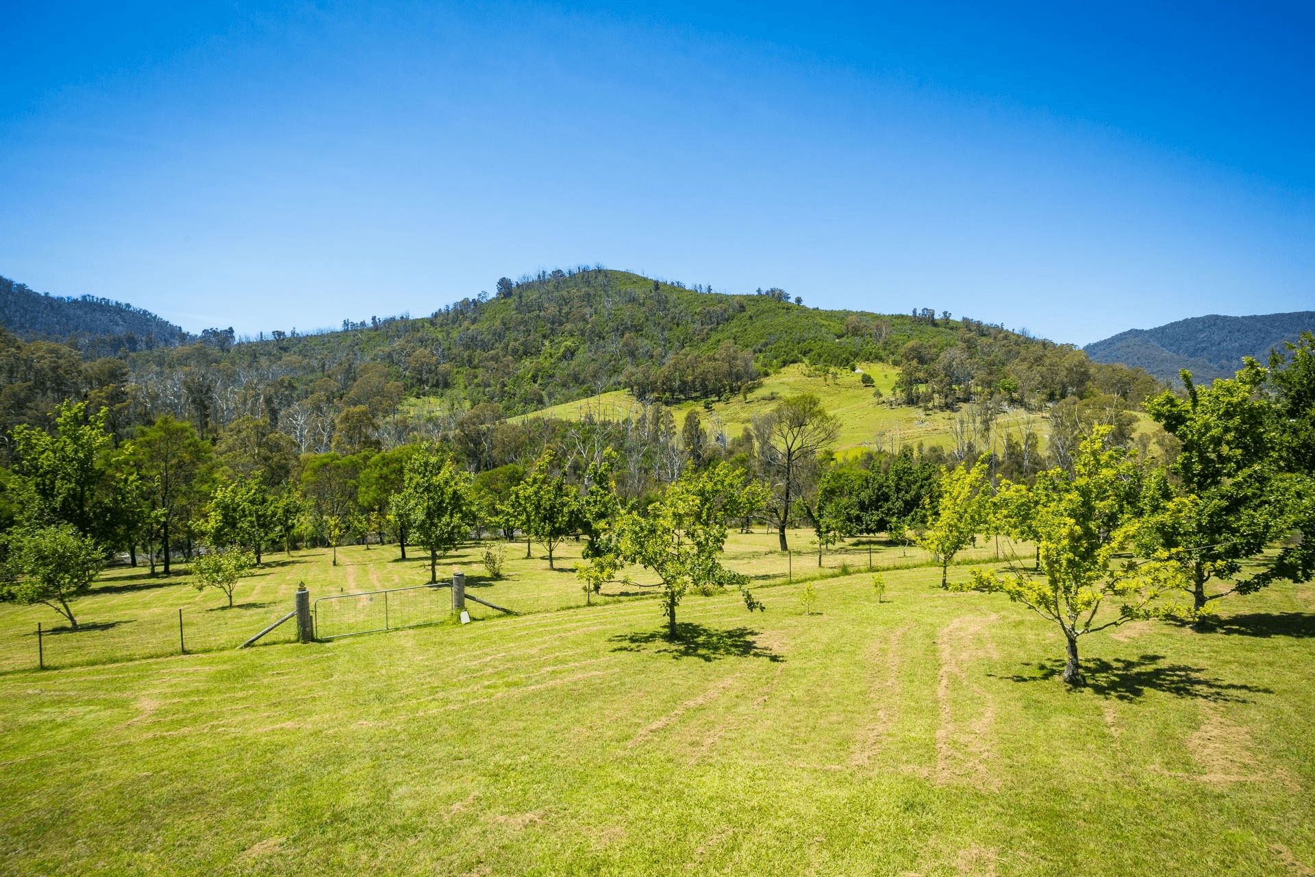 2903 Mount Darragh Road, Wyndham, NSW 2550