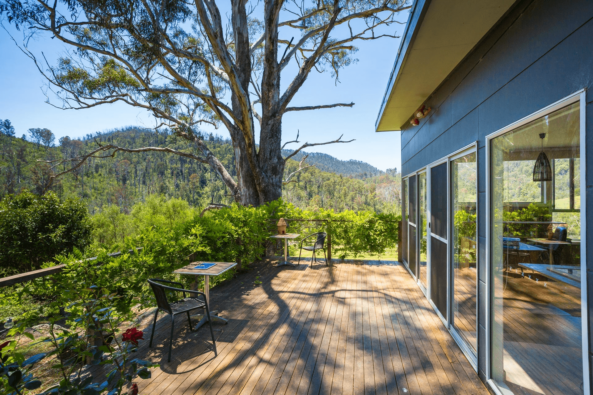 2903 Mount Darragh Road, Wyndham, NSW 2550