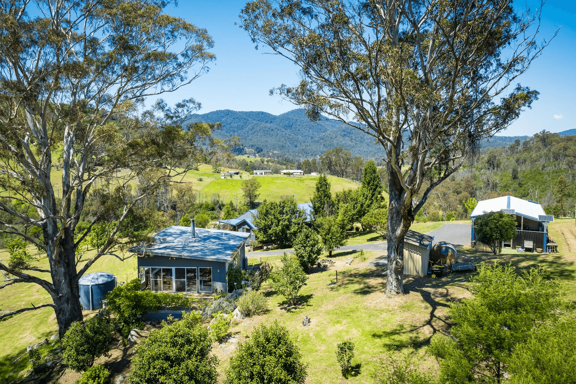 2903 Mount Darragh Road, Wyndham, NSW 2550