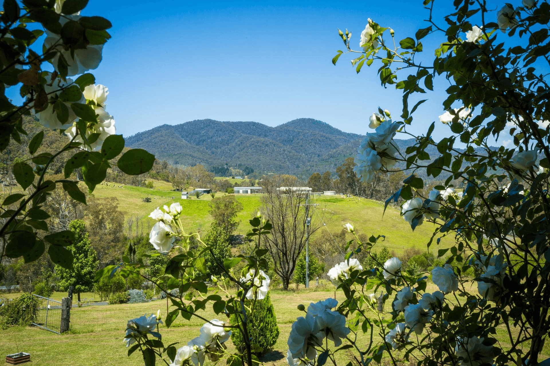 2903 Mount Darragh Road, Wyndham, NSW 2550