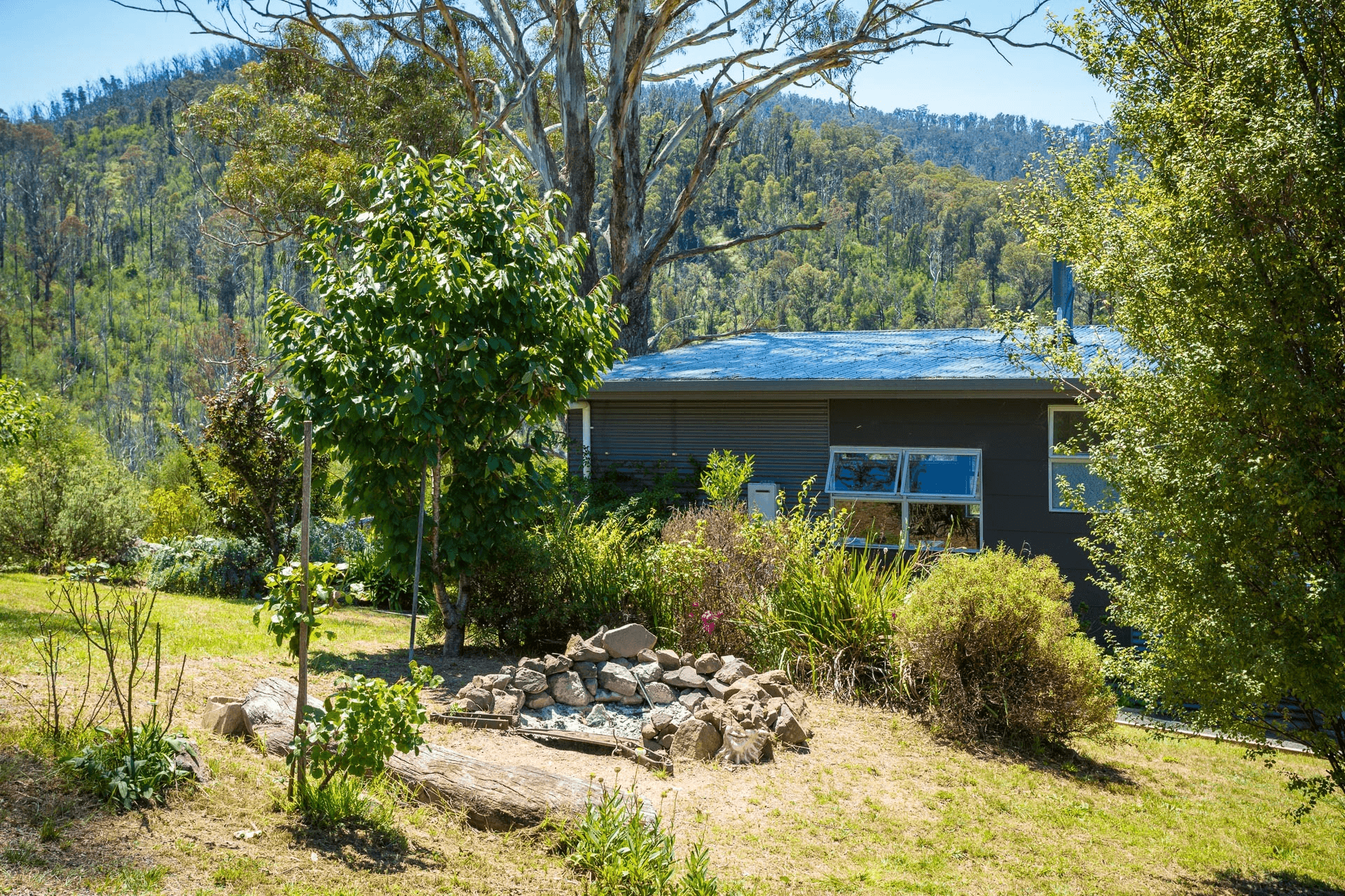 2903 Mount Darragh Road, Wyndham, NSW 2550