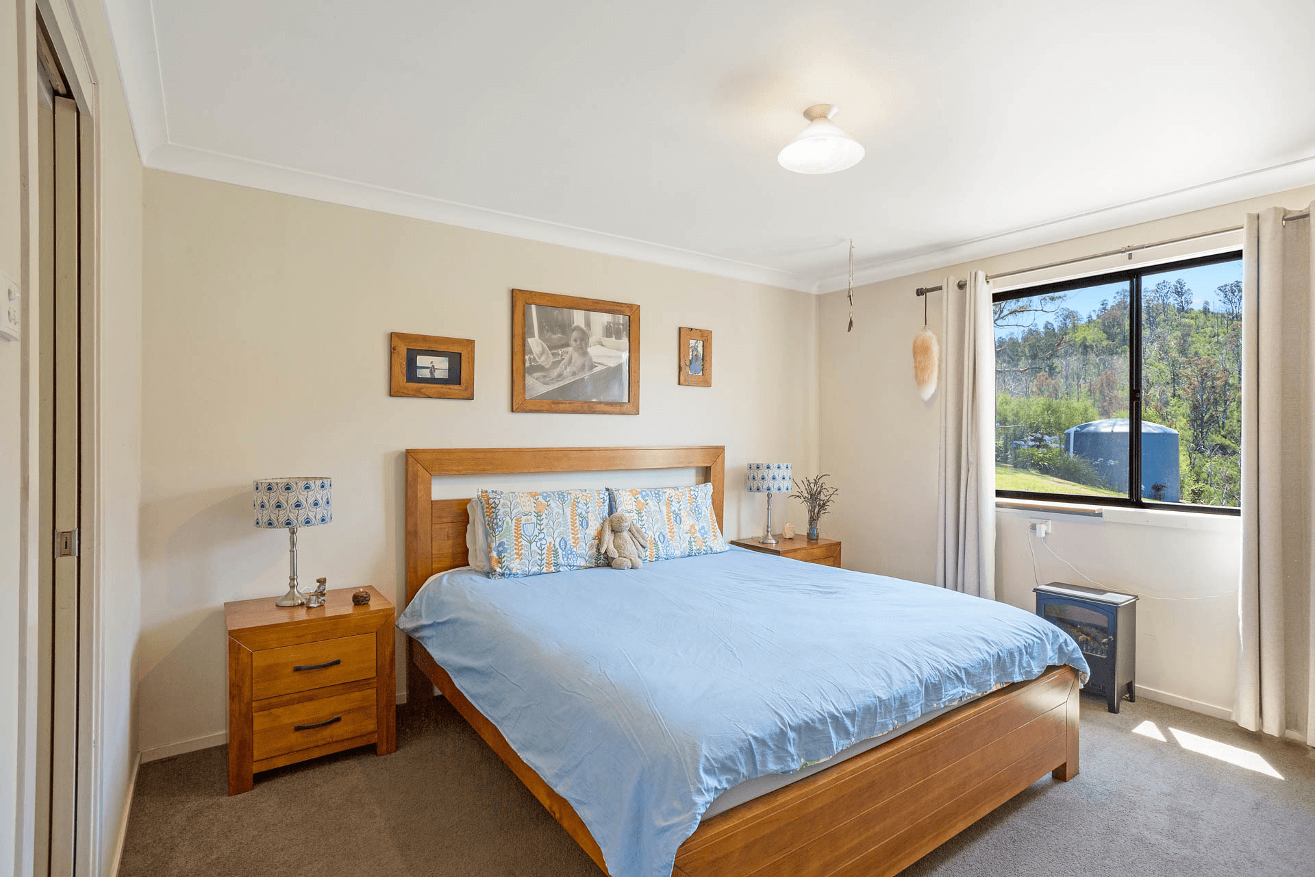 2903 Mount Darragh Road, Wyndham, NSW 2550