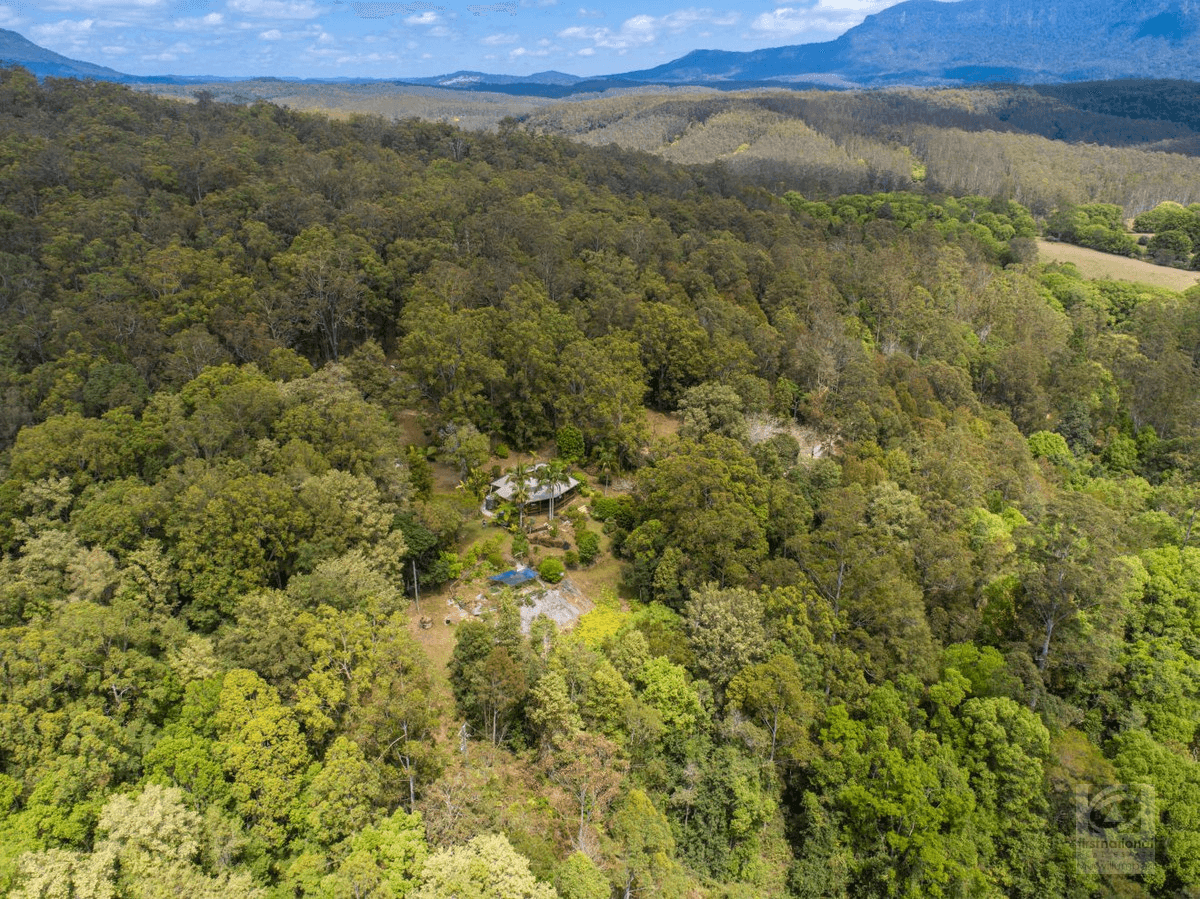 665 Byrrill Creek Road, Byrrill Creek, NSW 2484