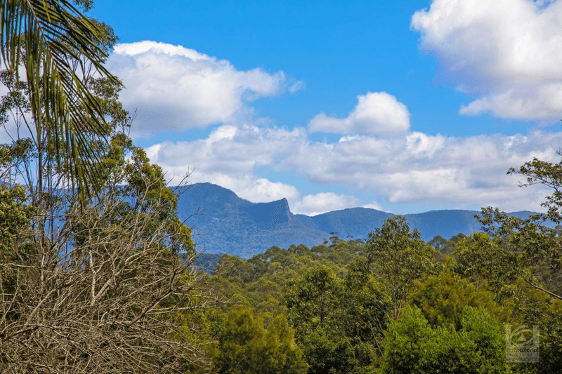 665 Byrrill Creek Road, Byrrill Creek, NSW 2484