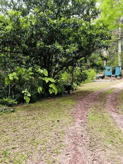 Lot 1304 Upper Main Arm Road, MULLUMBIMBY, NSW 2482