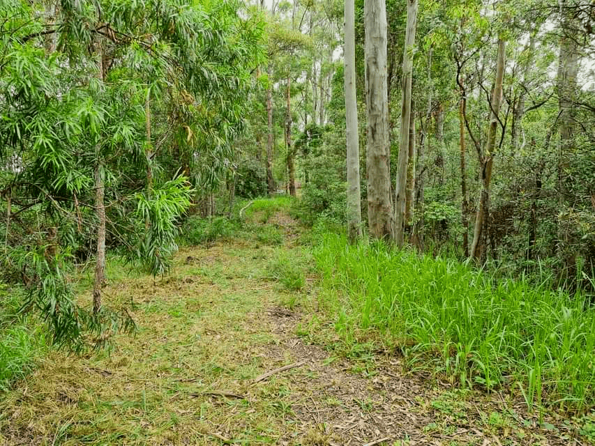 Lot 1304 Upper Main Arm Road, MULLUMBIMBY, NSW 2482