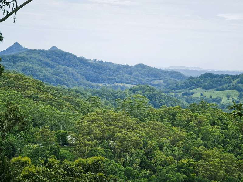 Lot 1304 Upper Main Arm Road, MULLUMBIMBY, NSW 2482