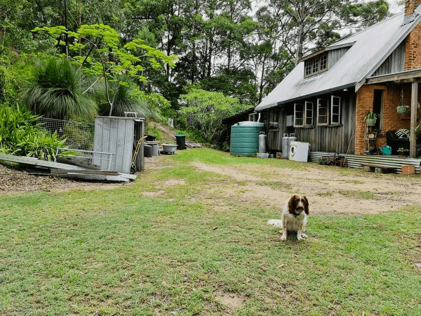 Lot 1304 Upper Main Arm Road, MULLUMBIMBY, NSW 2482