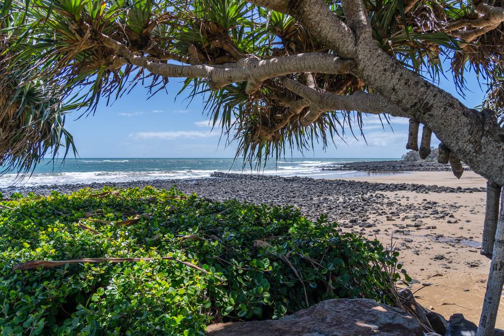 Proposed Lot 63 Innes Park Road, INNES PARK, QLD 4670