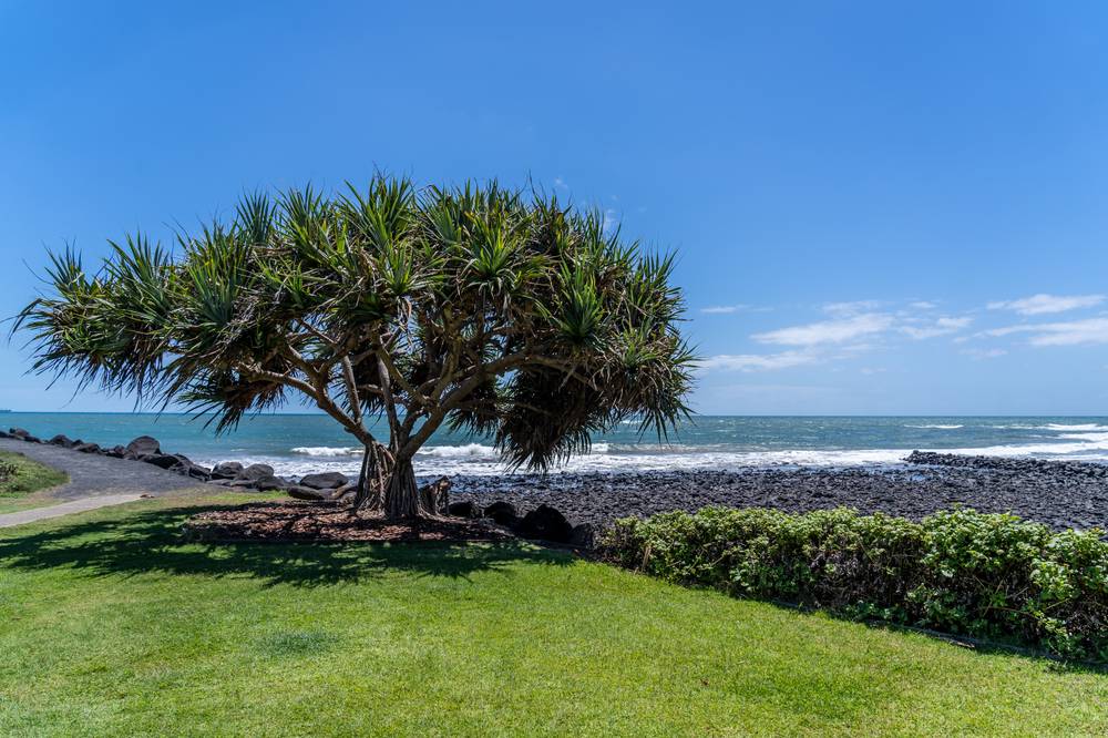 Proposed Lot 63 Innes Park Road, INNES PARK, QLD 4670