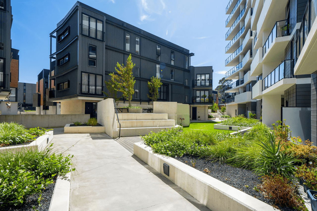 11/2 Torrens Street, BRADDON, ACT 2612