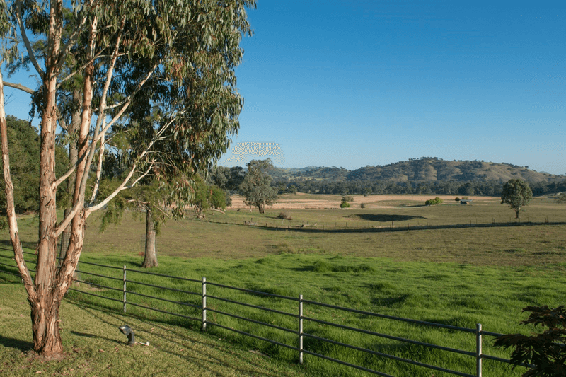 367 Nimbo Road, Tumut, NSW 2720