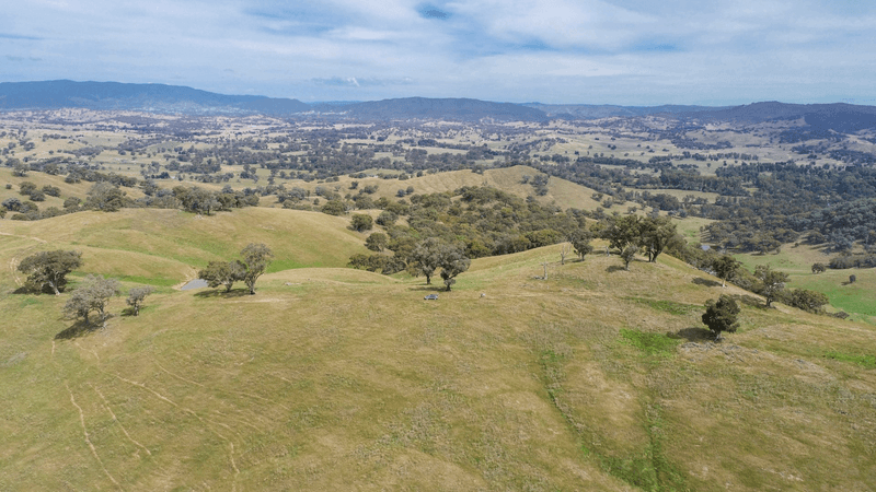 367 Nimbo Road, Tumut, NSW 2720