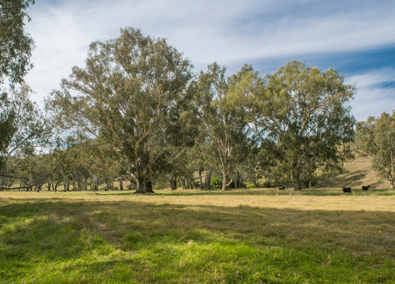 188 Cockatoo Road, Tumut, NSW 2720