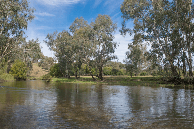 188 Cockatoo Road, Tumut, NSW 2720