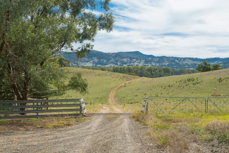 188 Cockatoo Road, Tumut, NSW 2720