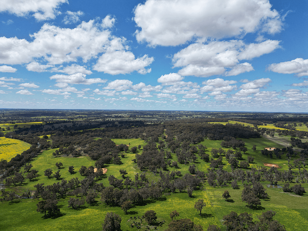 Lot 51 Boyup Brook - Kojonup Road, SCOTTS BROOK, WA 6244