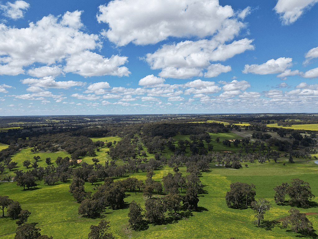 Lot 51 Boyup Brook - Kojonup Road, SCOTTS BROOK, WA 6244