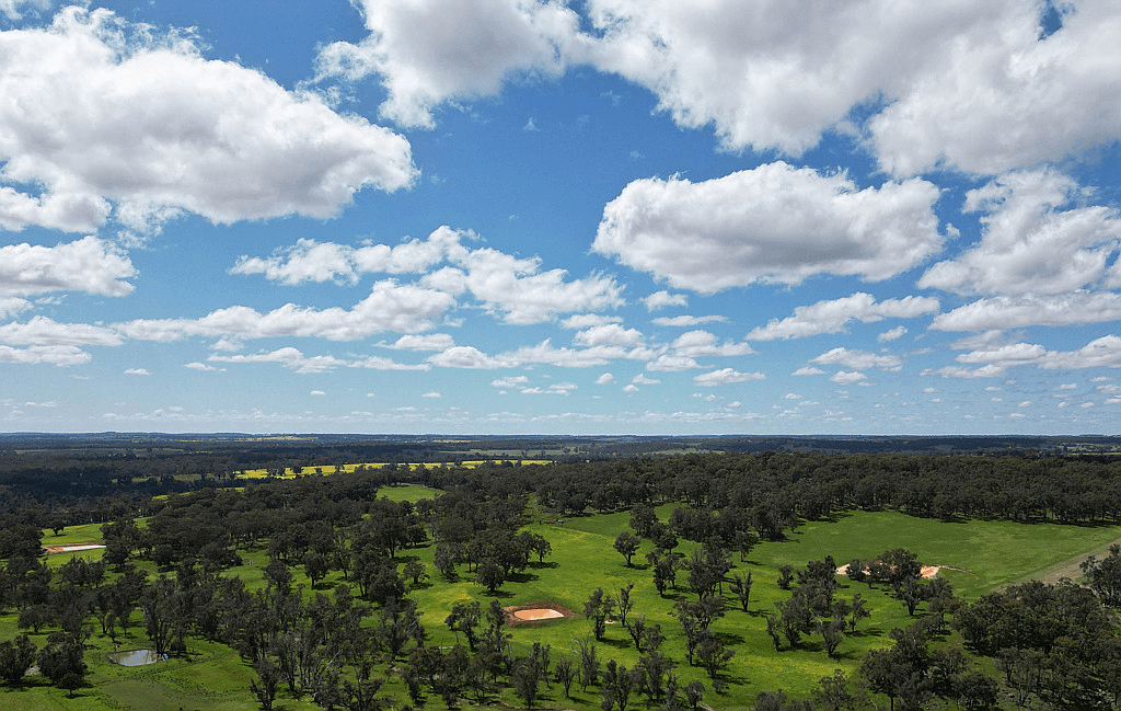 Lot 51 Boyup Brook - Kojonup Road, SCOTTS BROOK, WA 6244
