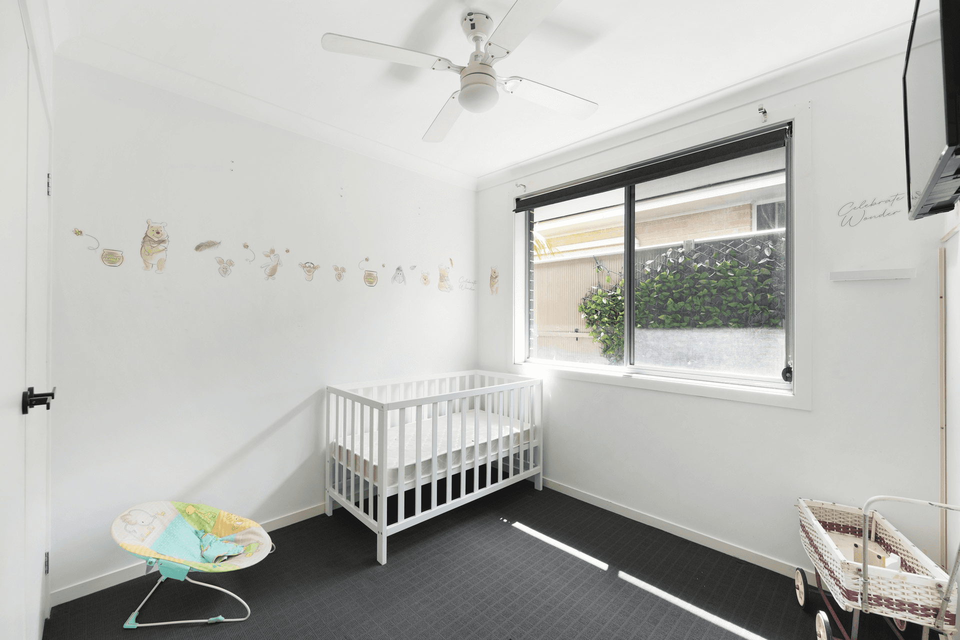 16 Rosecomb Ave, SPRING FARM, NSW 2570