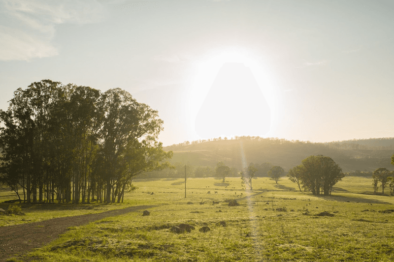 147 Beaury Creek Road via Road, WOODENBONG, NSW 2476