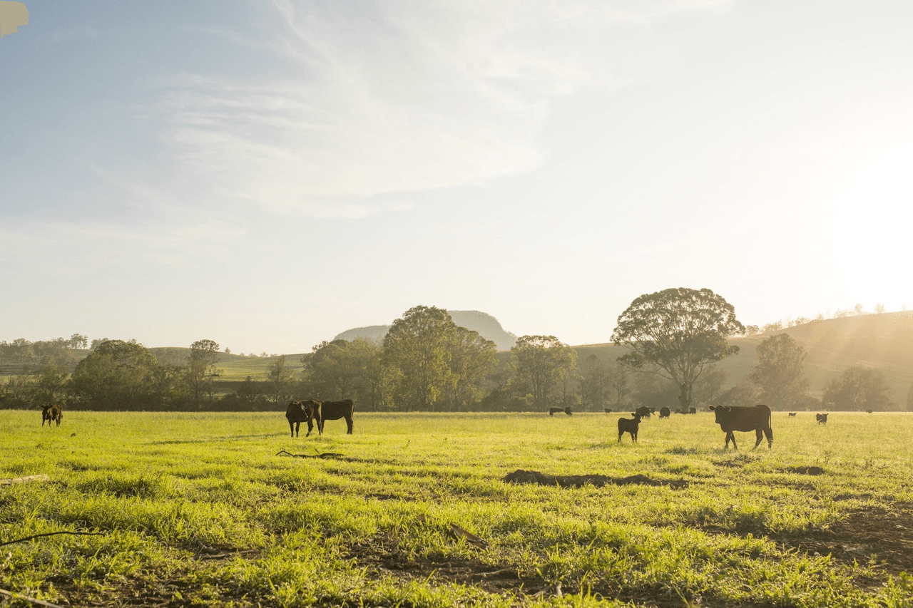 147 Beaury Creek Road via Road, WOODENBONG, NSW 2476