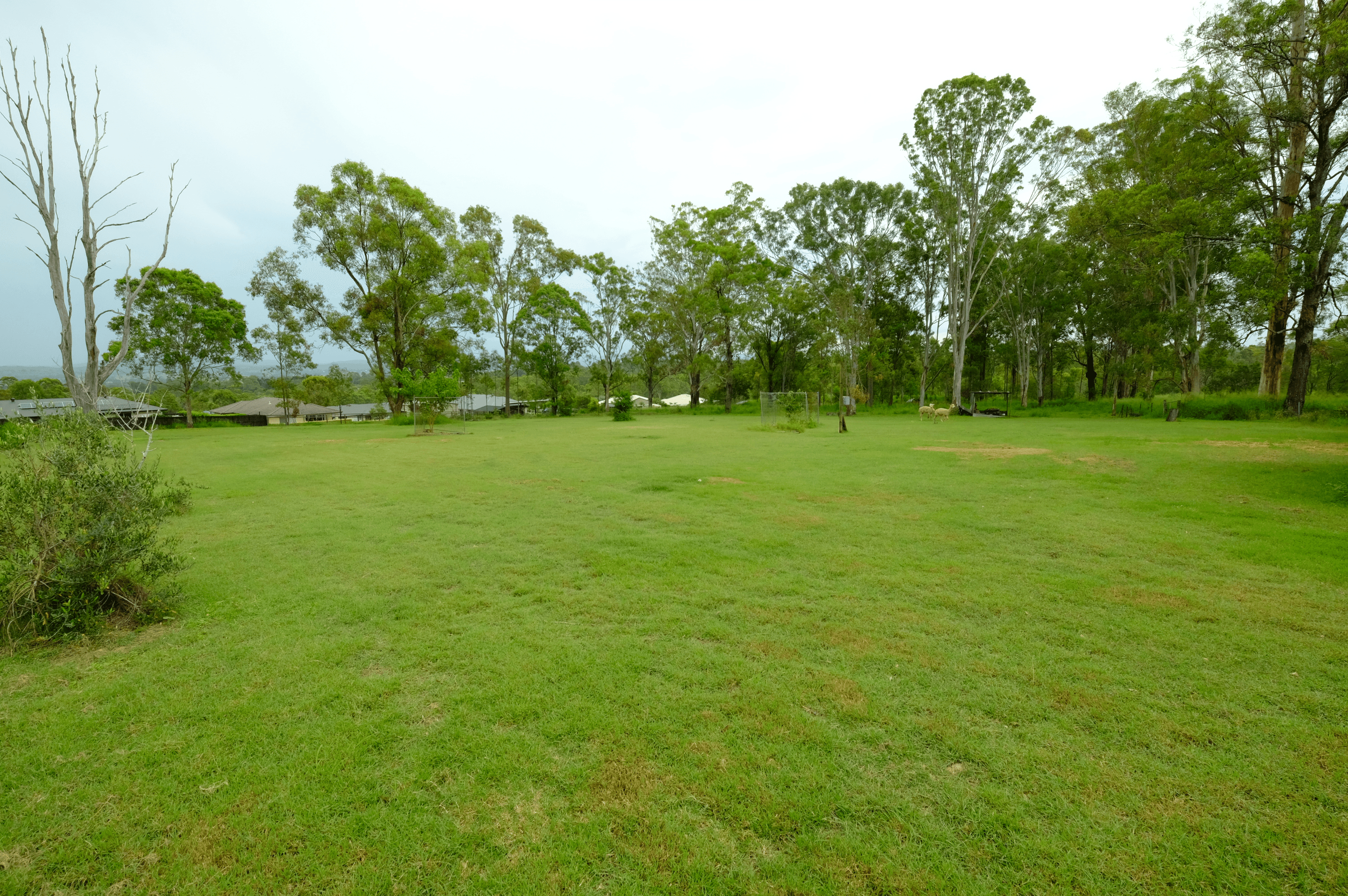 17 Fields Road, GLENEAGLE, QLD 4285