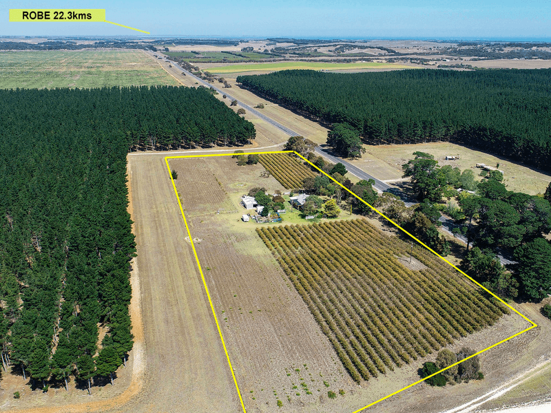 2073 Southern Ports Highway, WANGOLINA, SA 5275