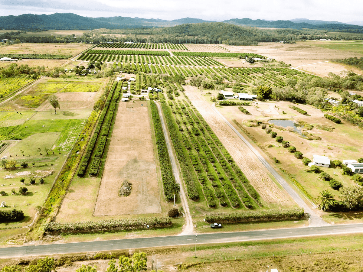 209 Malone Road, Mareeba, QLD 4880