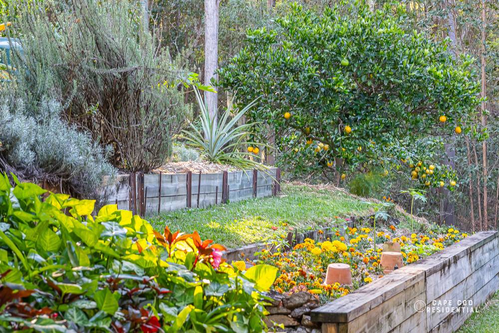 105 Mailmans Track, BUNYA, QLD 4055