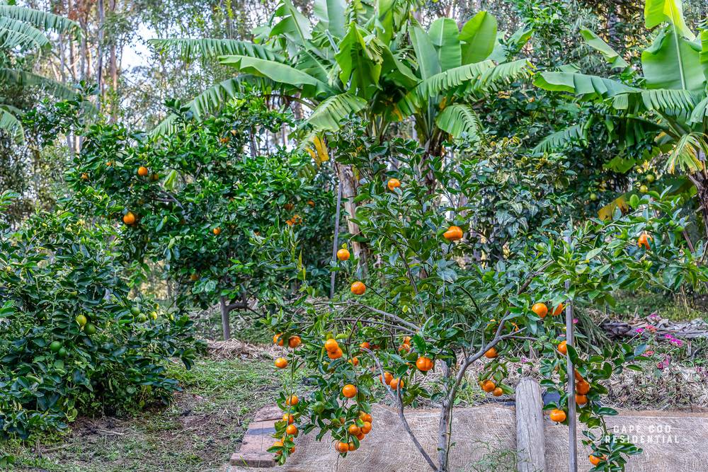 105 Mailmans Track, BUNYA, QLD 4055