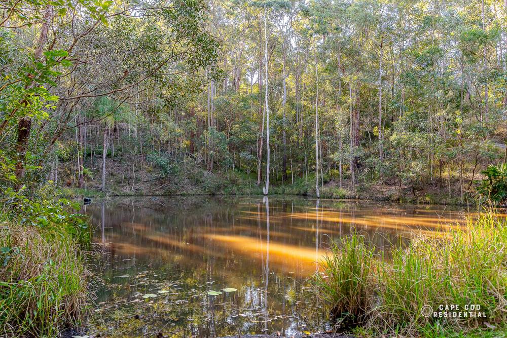 105 Mailmans Track, BUNYA, QLD 4055