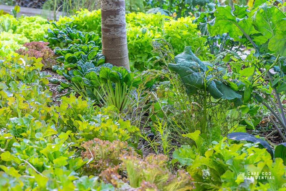 105 Mailmans Track, BUNYA, QLD 4055