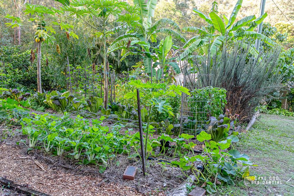 105 Mailmans Track, BUNYA, QLD 4055