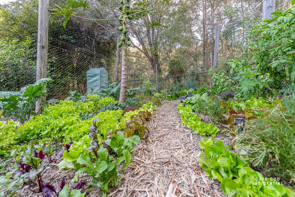 105 Mailmans Track, BUNYA, QLD 4055