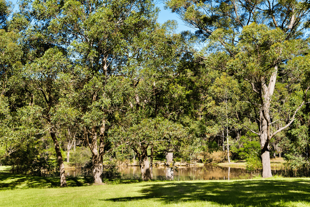 252 Bendeela Road, Kangaroo Valley, NSW 2577