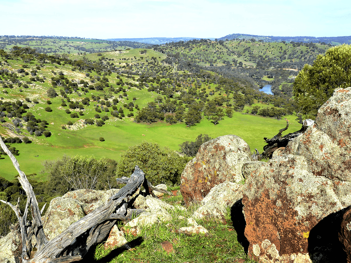 Whitelakes Drive / WALKEY Heights, Toodyay, WA 6566