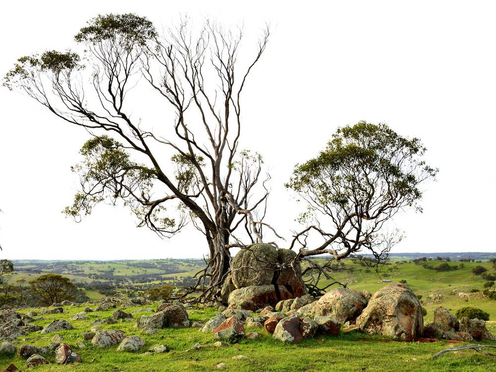 Whitelakes Drive / WALKEY Heights, Toodyay, WA 6566