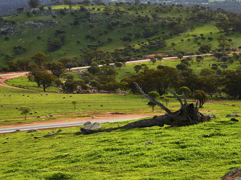 Whitelakes Drive / WALKEY Heights, Toodyay, WA 6566