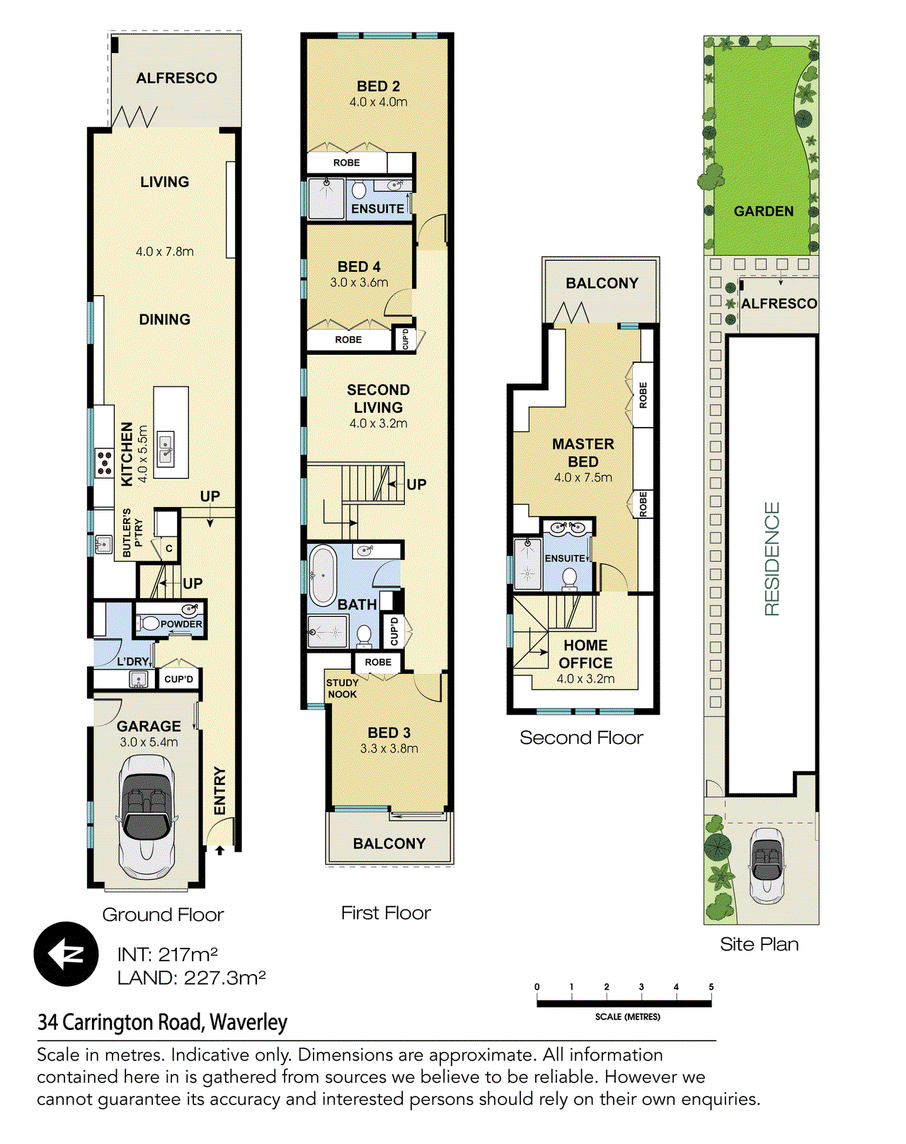 34 Carrington Road, Waverley, NSW 2024