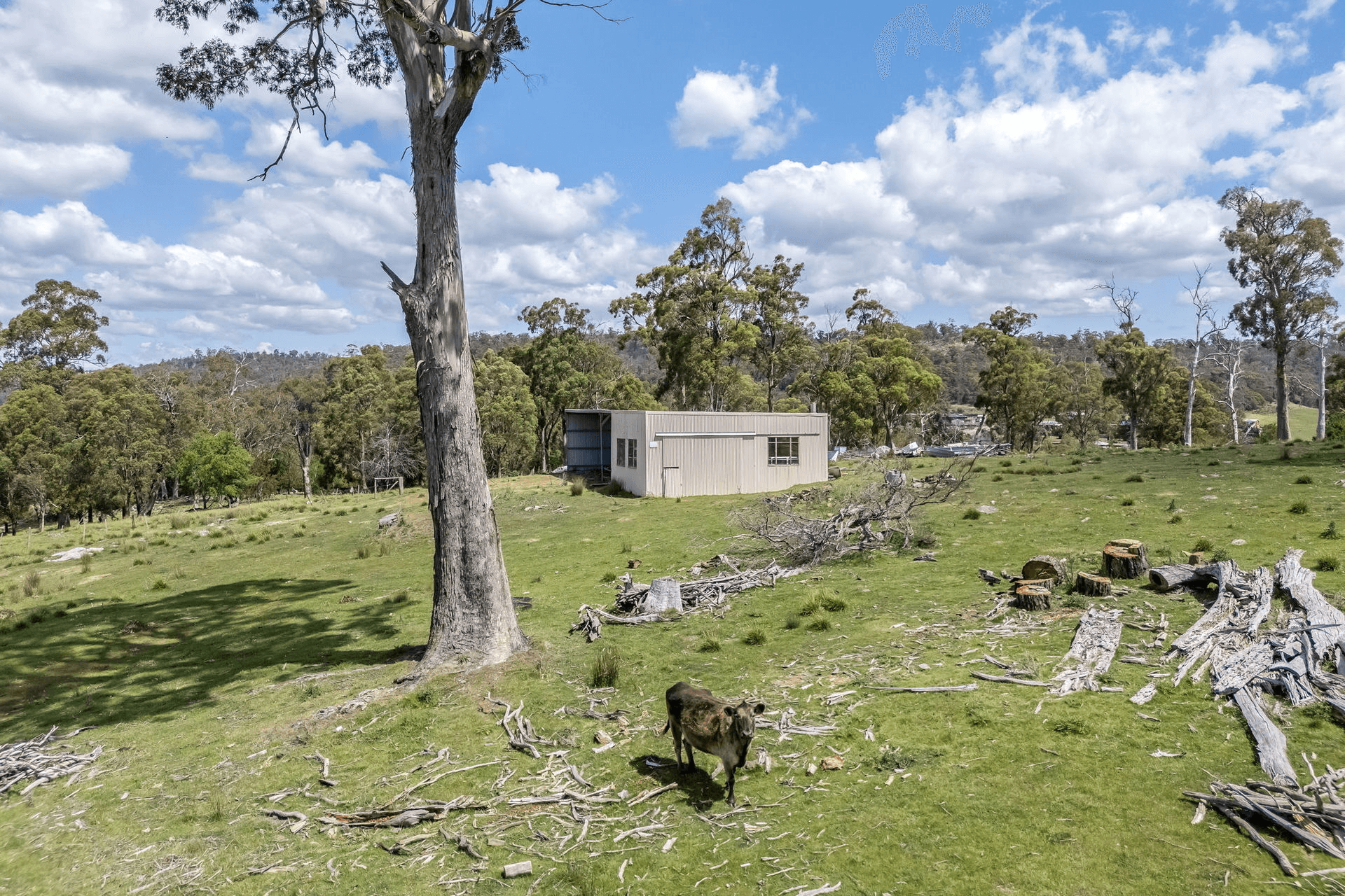 46 Traill Road, Exeter, TAS 7275